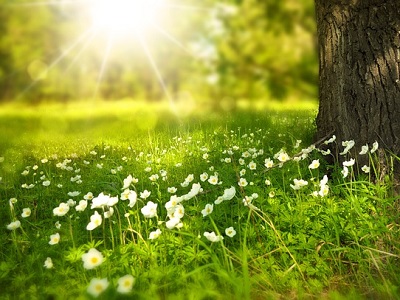Die KKS wünscht angenehme Sommerferien 🌞